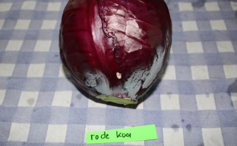 Lensink Aardappelen Aalten | rode kool
